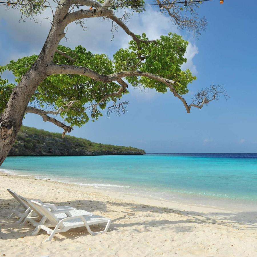 Las Olas Beach House 호텔 Sabana Westpunt 외부 사진
